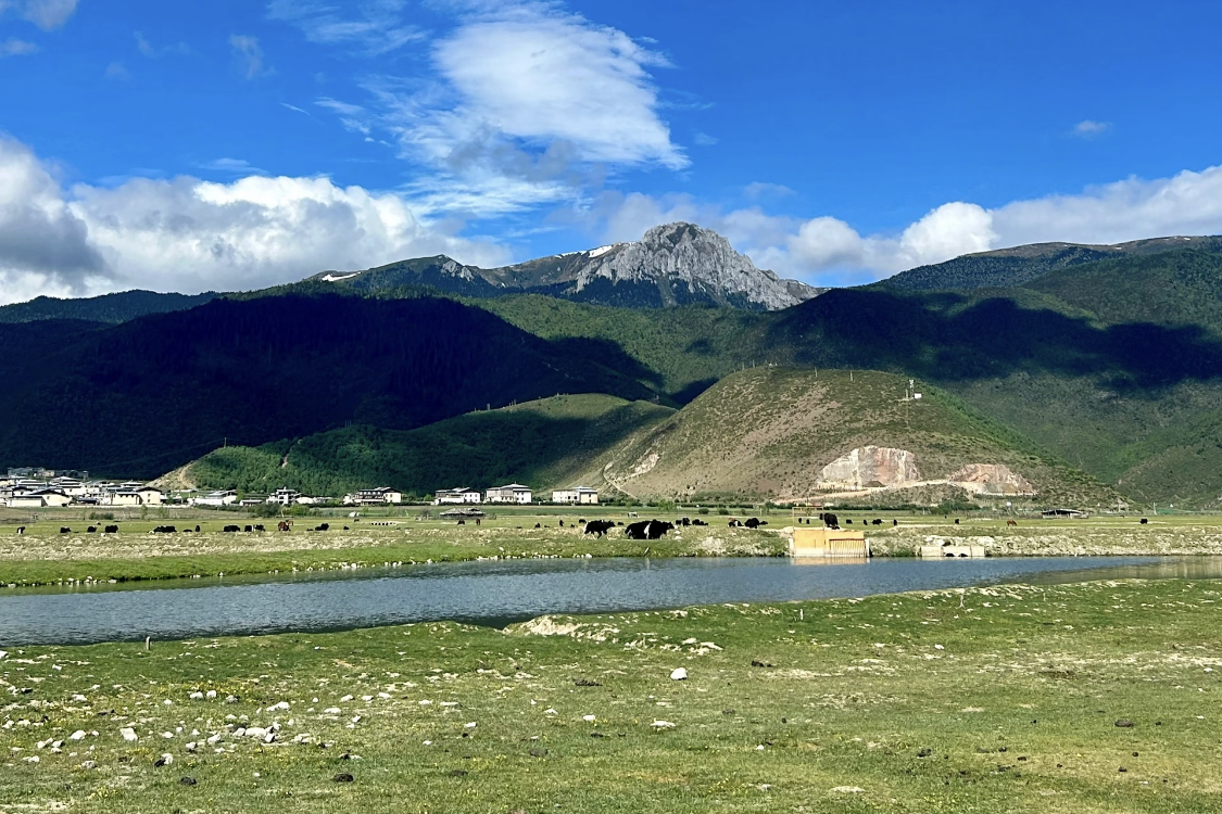 Napahai Yila Grassland